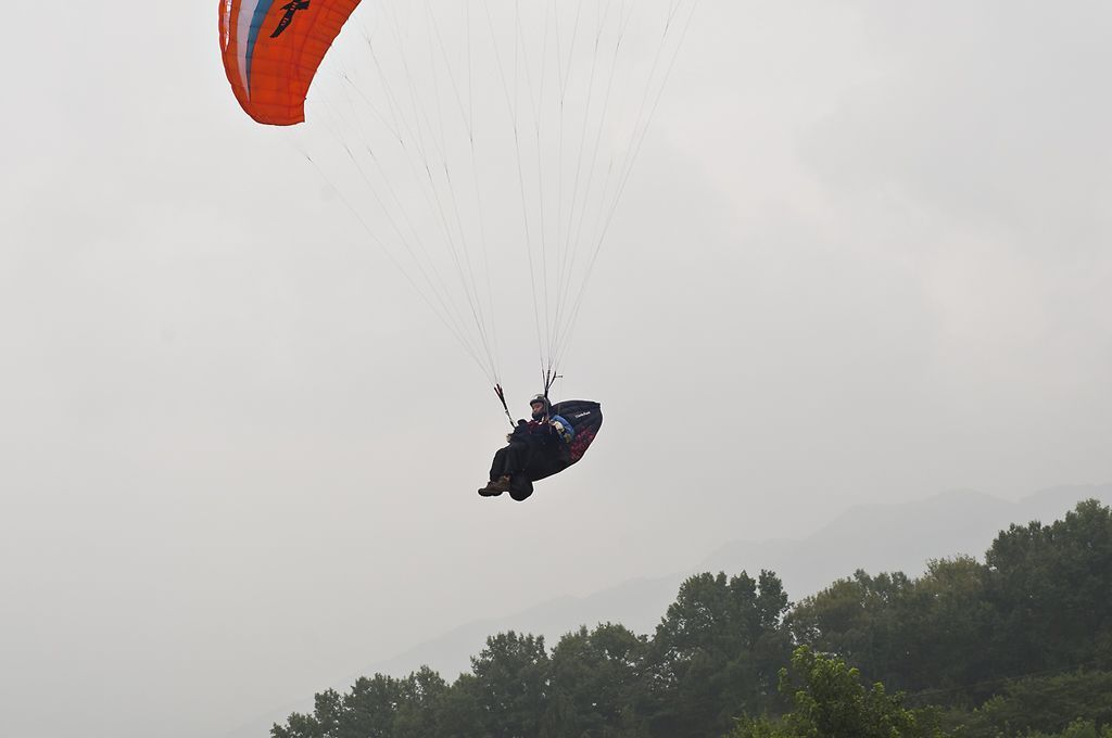_D305307.jpg