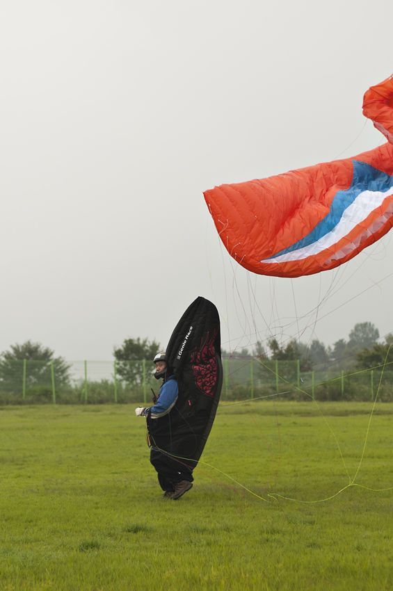 _D305309.jpg