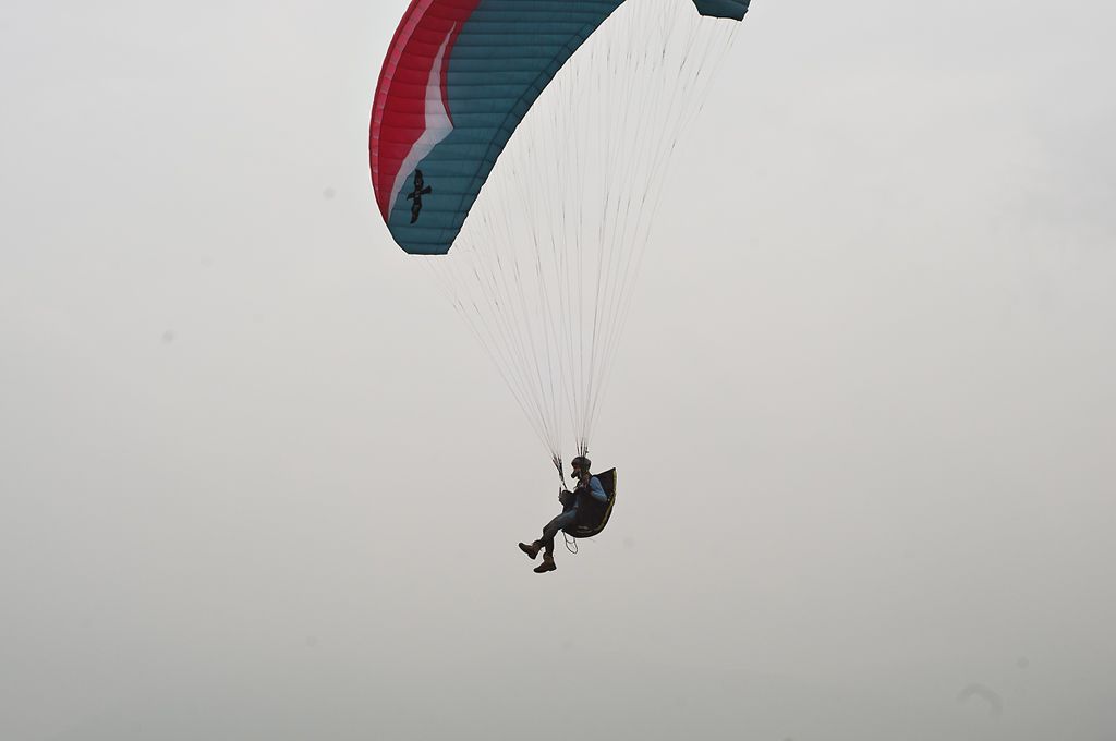 _D305318.jpg
