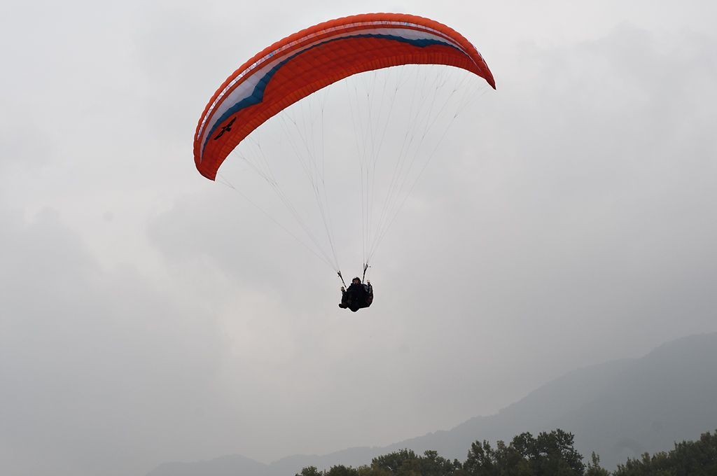 _D305306.jpg