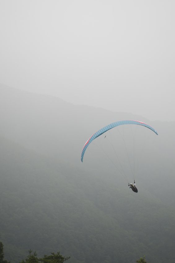 _D305433.jpg