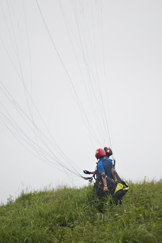 _D305441.jpg