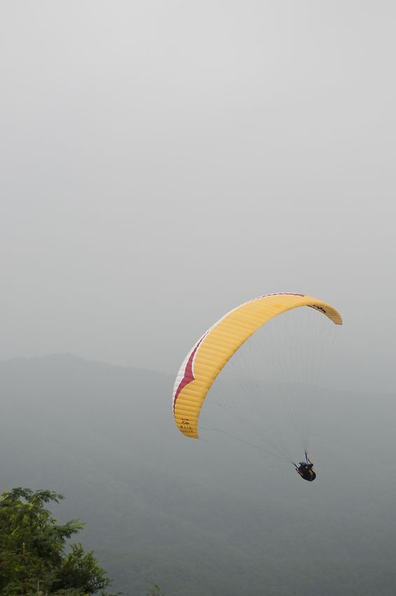 _D305389.jpg
