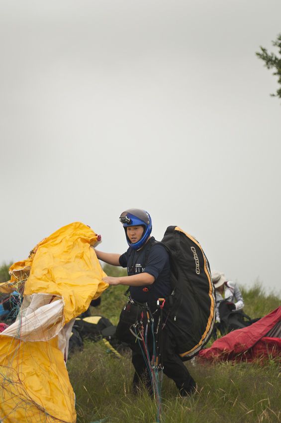 _D305385.jpg