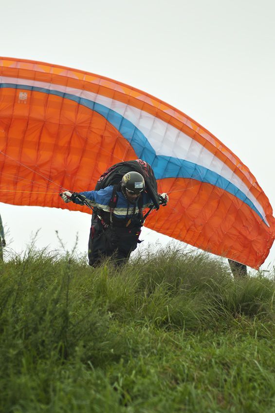 _D305405.jpg