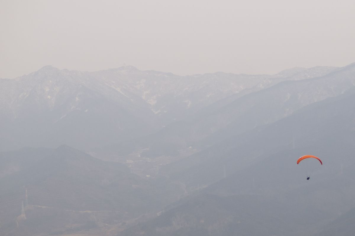 _D151599.jpg