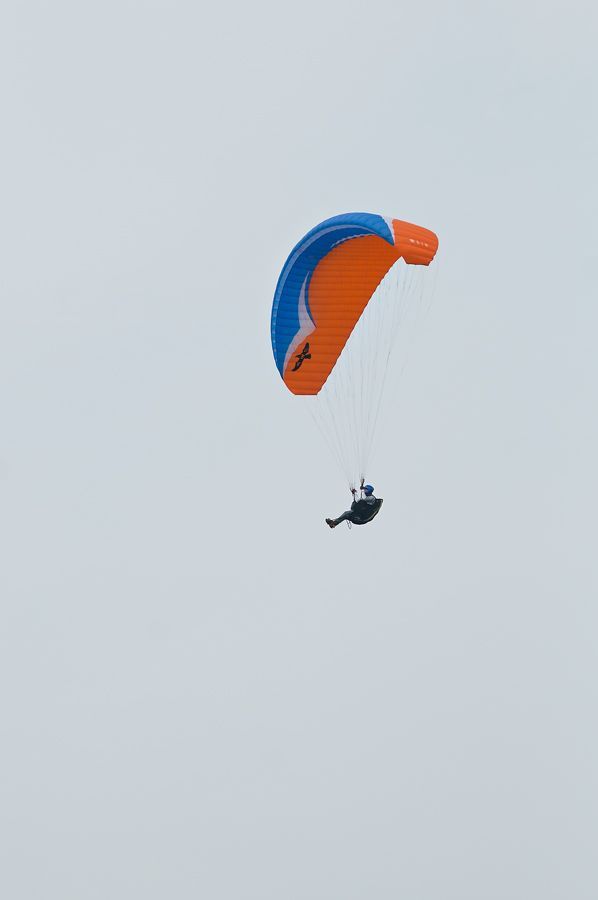 _D305877.jpg