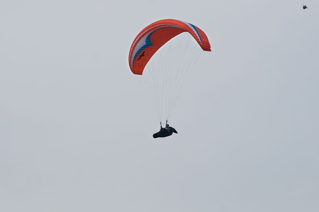 _D305878.jpg