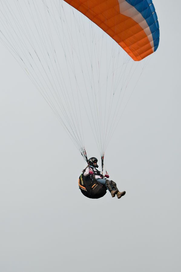 _D305949.jpg