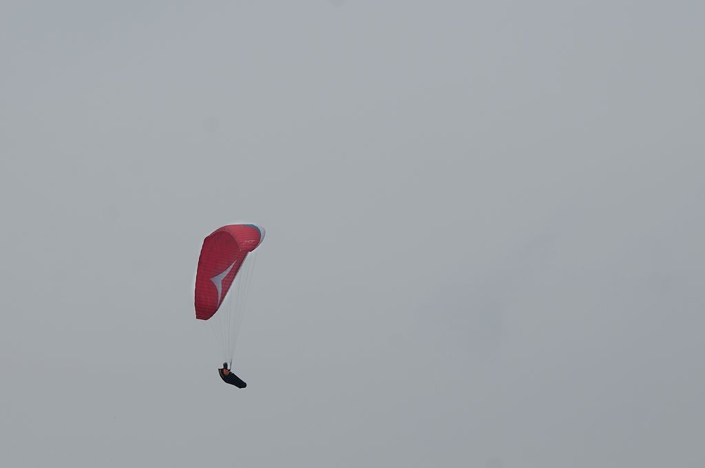 _D305907.jpg