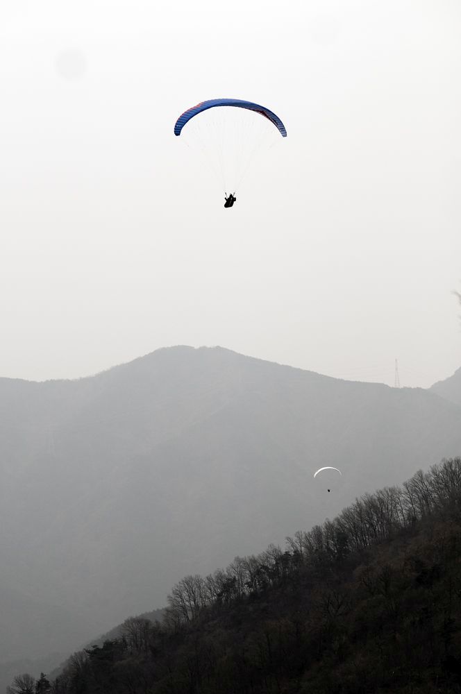 D15_2720.jpg