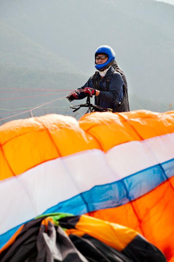 _D309130.jpg