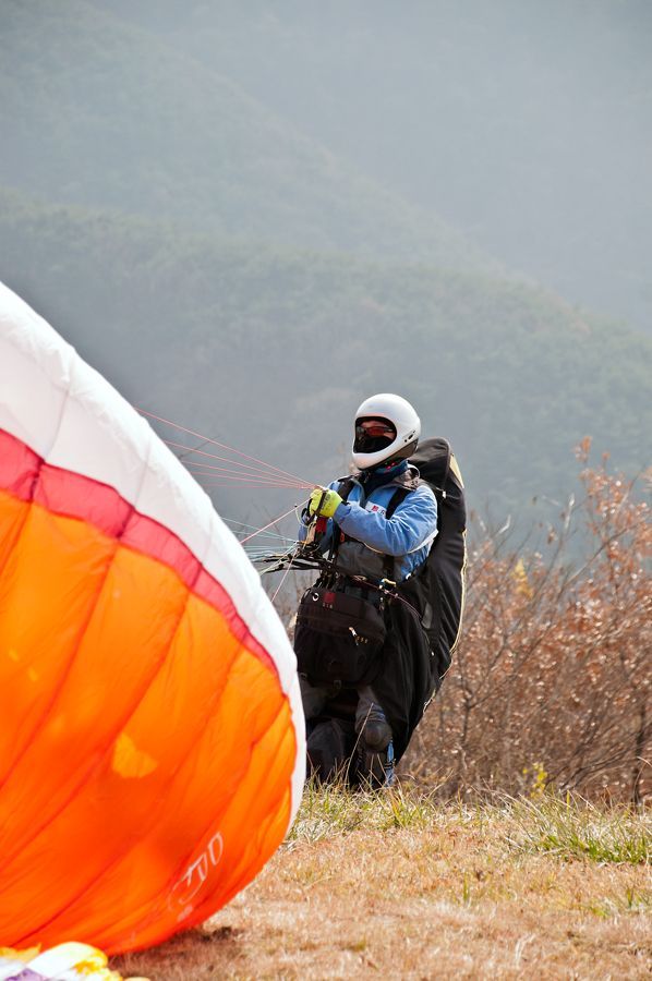 _D309123.jpg