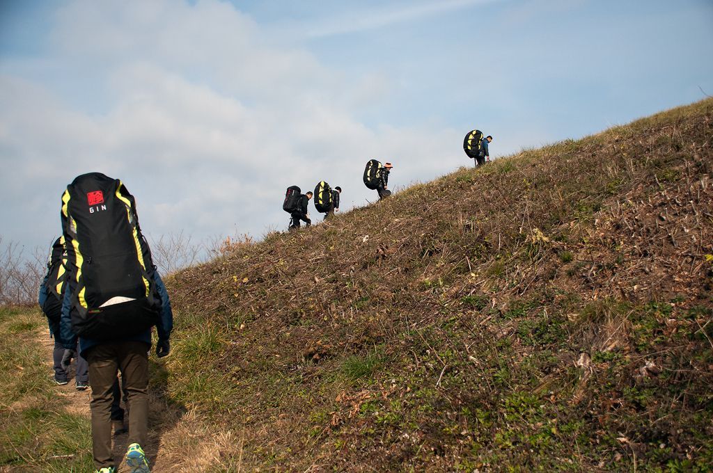 _D309088.jpg