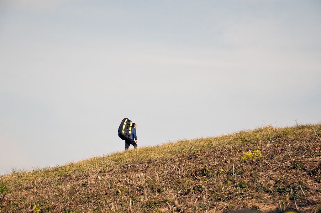 _D309084.jpg