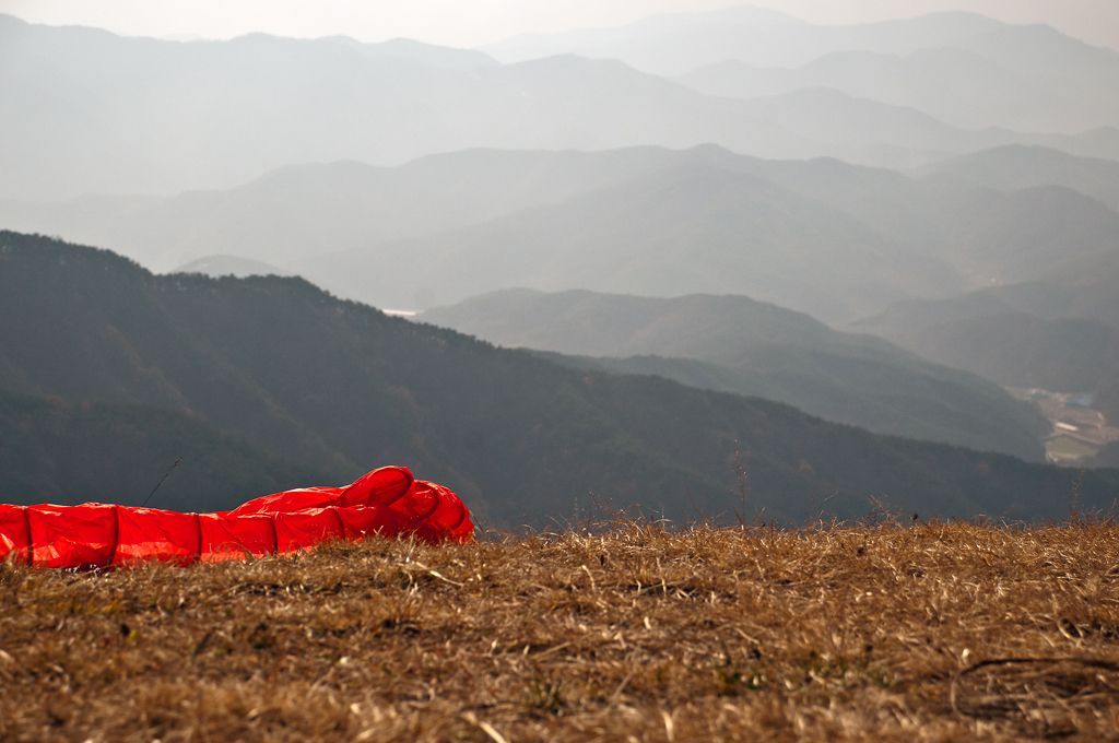 _D309095.jpg