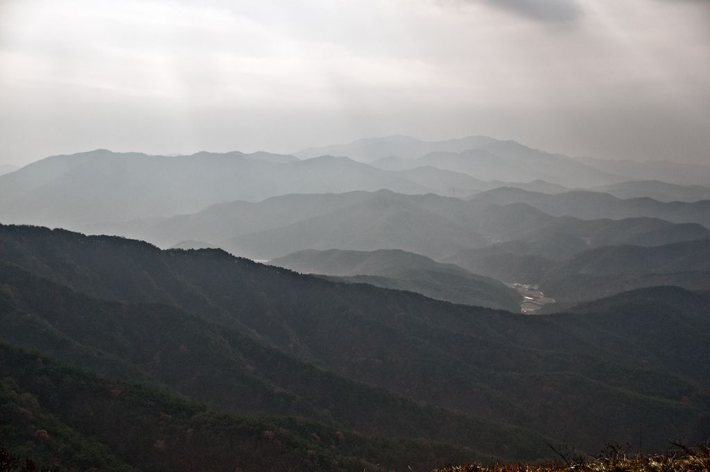 _D309092.jpg