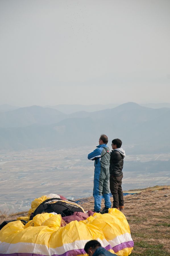 _D309115.jpg