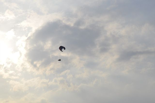 _DSC0101.jpg