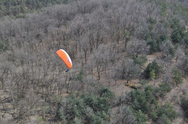 _DSC0086.jpg