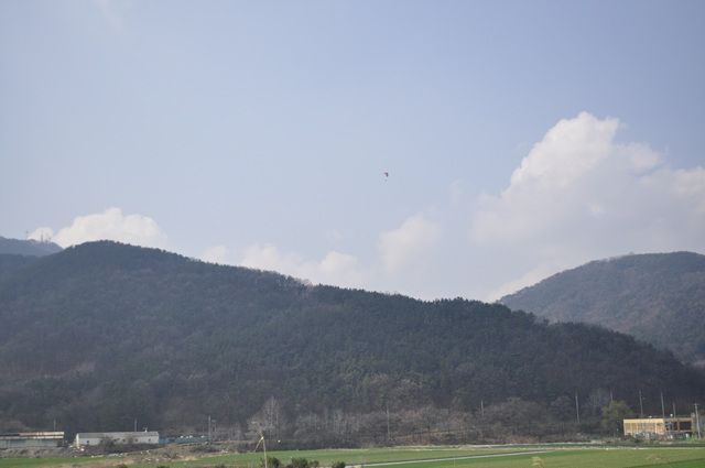 _DSC0005.jpg