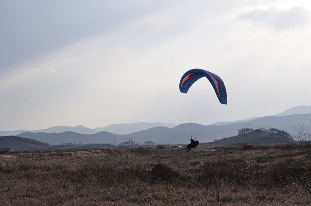 _DSC0102.jpg