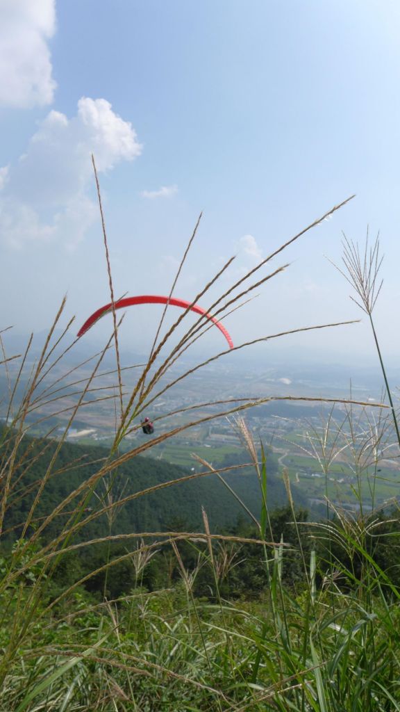 L1000263.JPG
