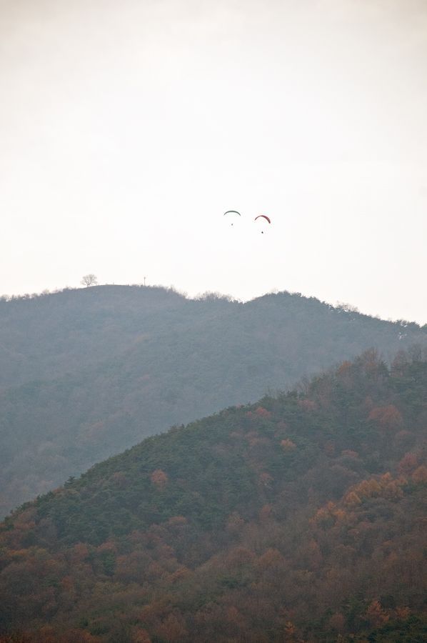 _D309276.jpg