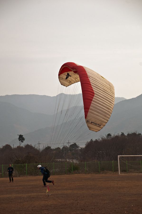 _D309328.jpg