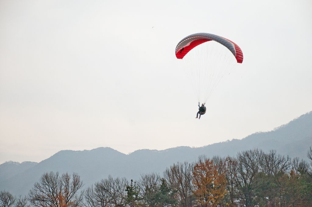 _D309311.jpg
