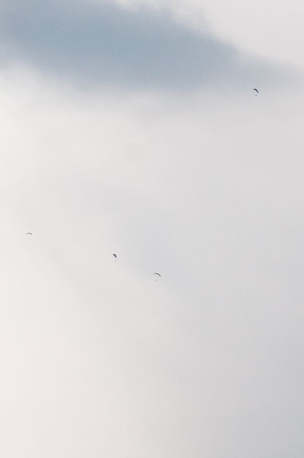 _D309289.jpg