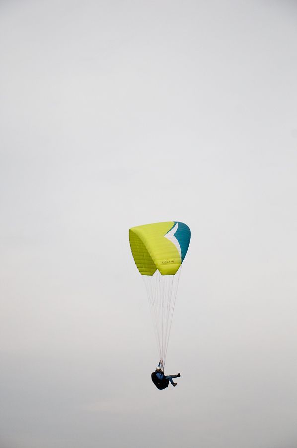 _D309325.jpg