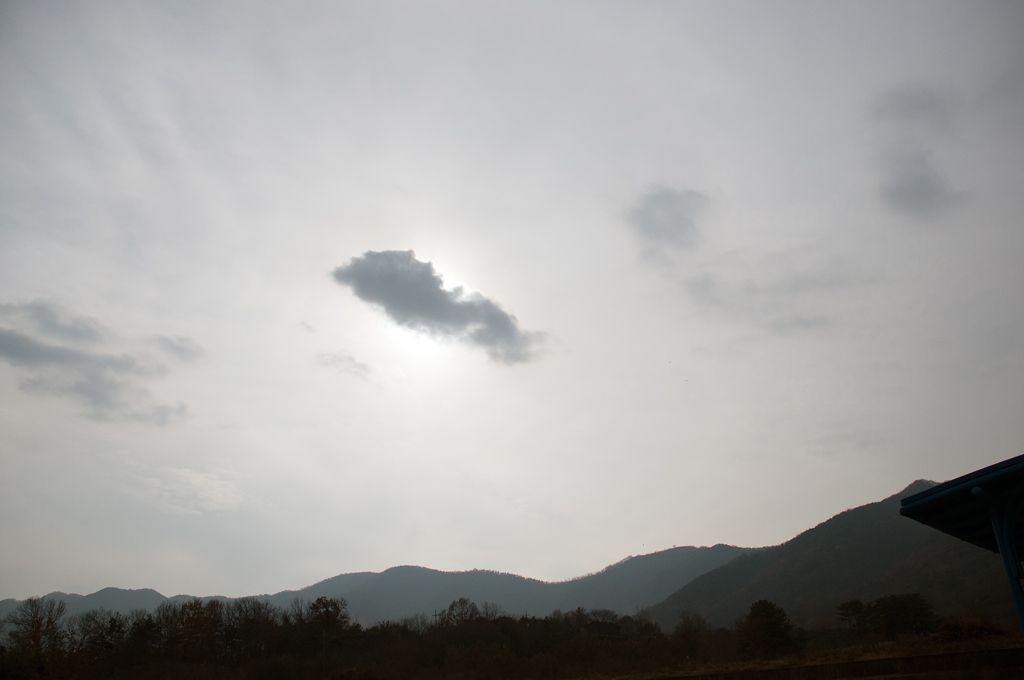 _D309277.jpg