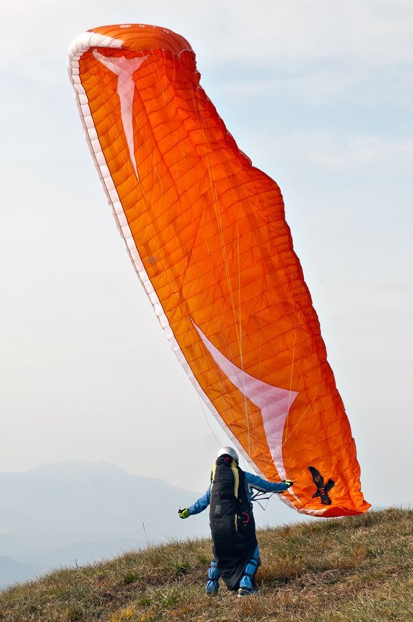 _D309185.jpg