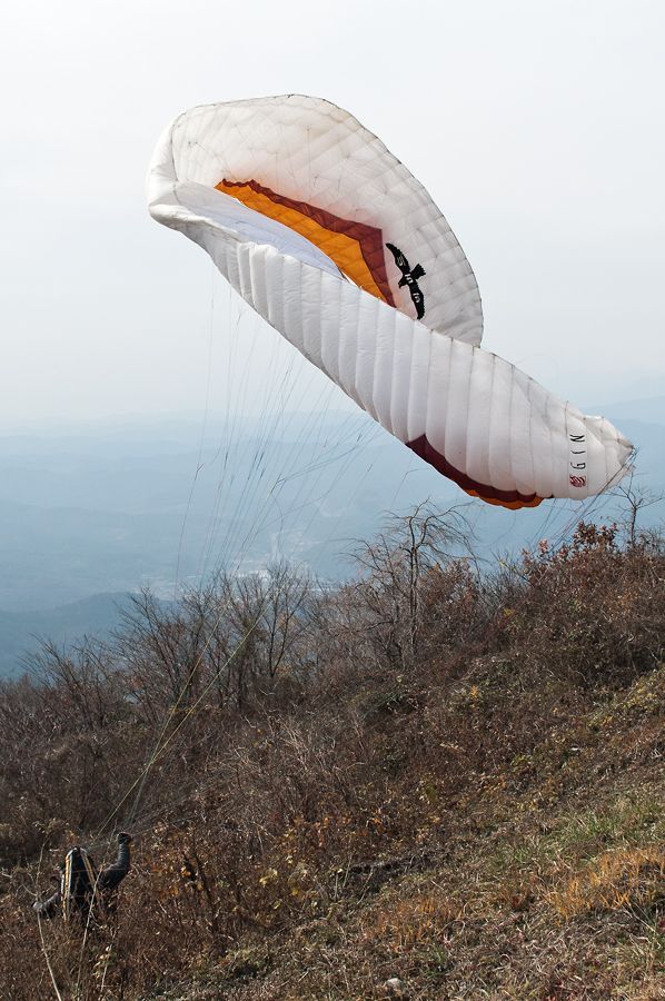 _D309202.jpg