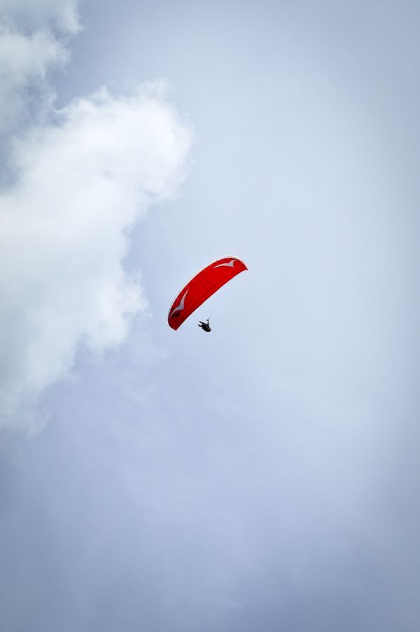 _DSC0409.jpg