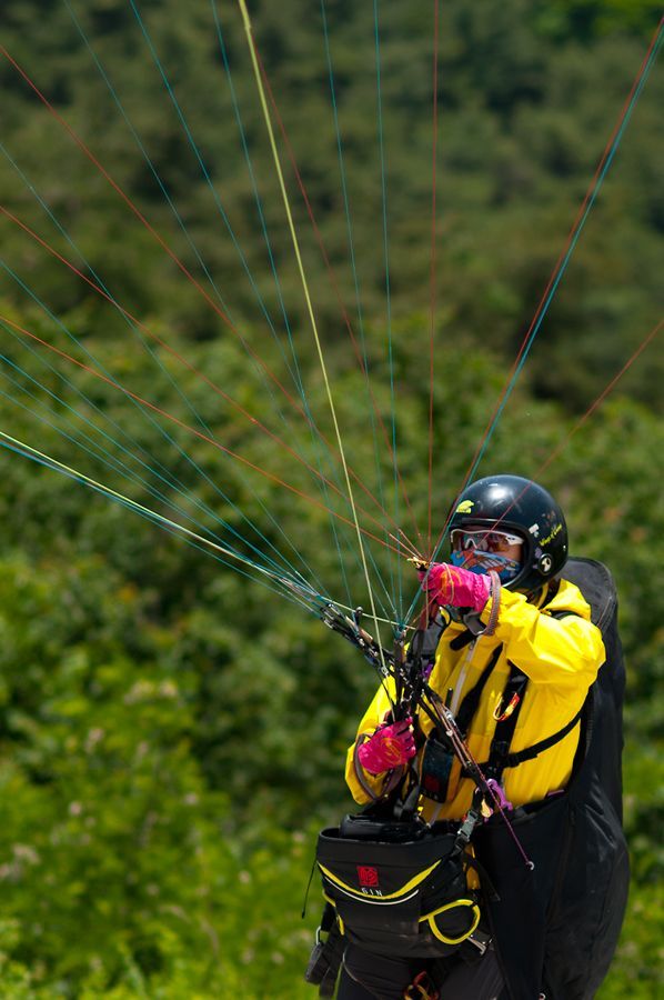 _D302278.jpg