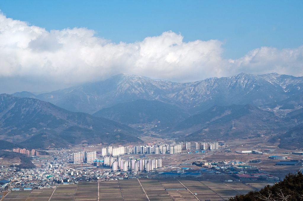 _D151930.jpg