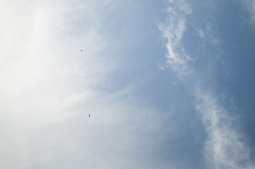 _D154957.jpg