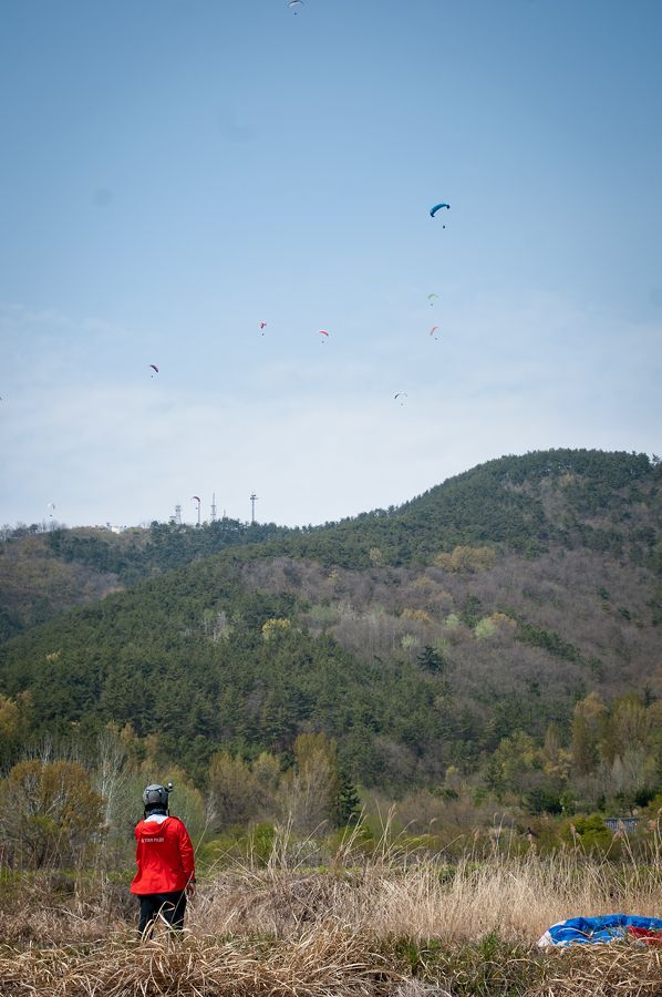 _D153366.jpg
