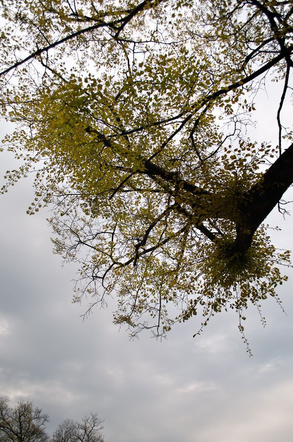 _D153412.jpg