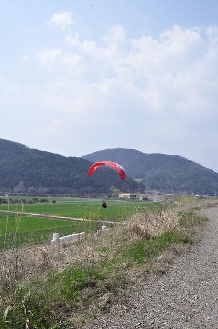 _DSC0206.jpg