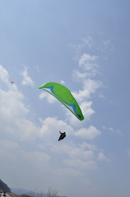 _DSC0215.jpg