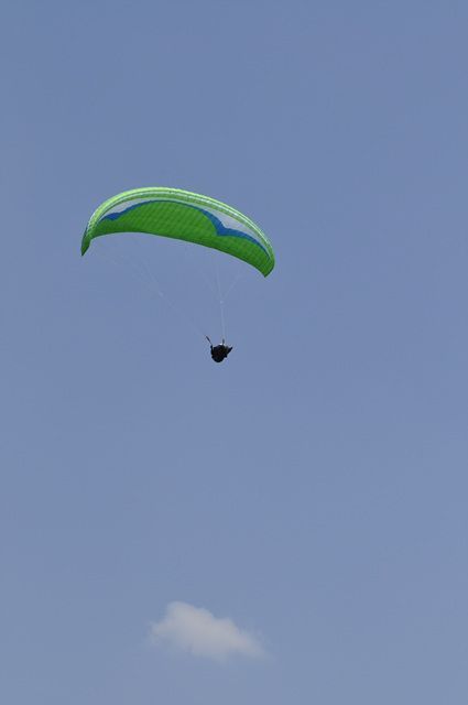 _DSC0211.jpg