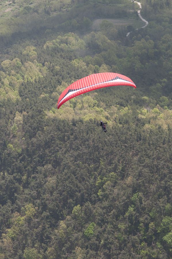 D15_8130.jpg