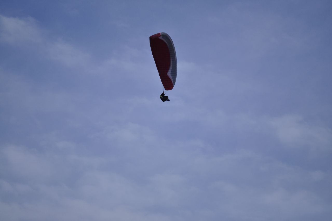 _DSC0239.JPG