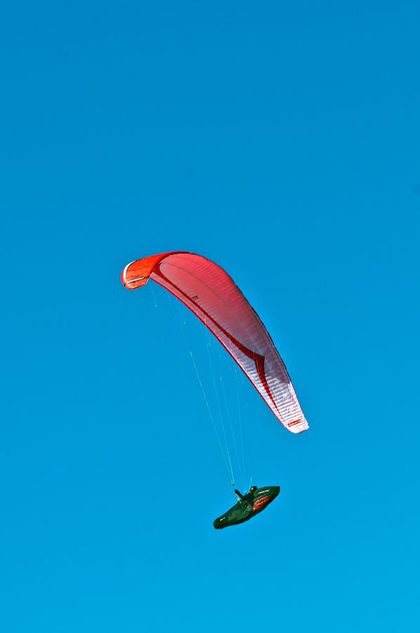 _D150940.jpg