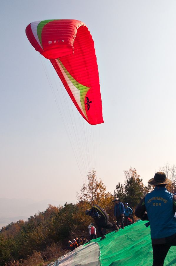 _D308475.jpg