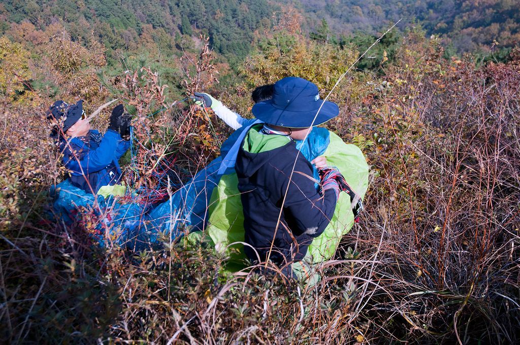 _D308505.jpg