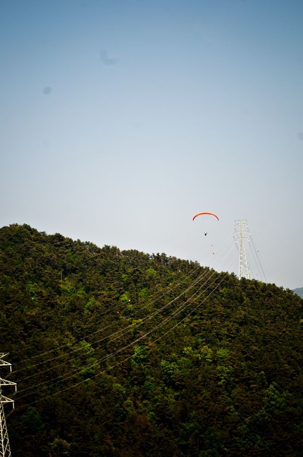 _D154136.jpg